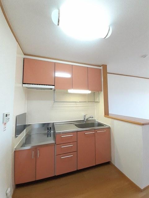 ライゼカーサＡ（202） キッチン