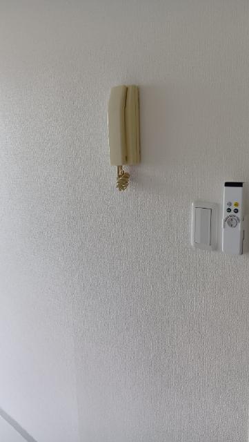 アメニティハウス西大崎（B105） 部屋画像