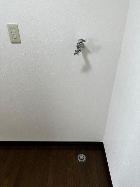 月岡サウスホームズ（205） 部屋画像