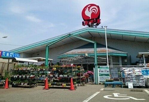 コメリハード＆グリーン小池店：750m