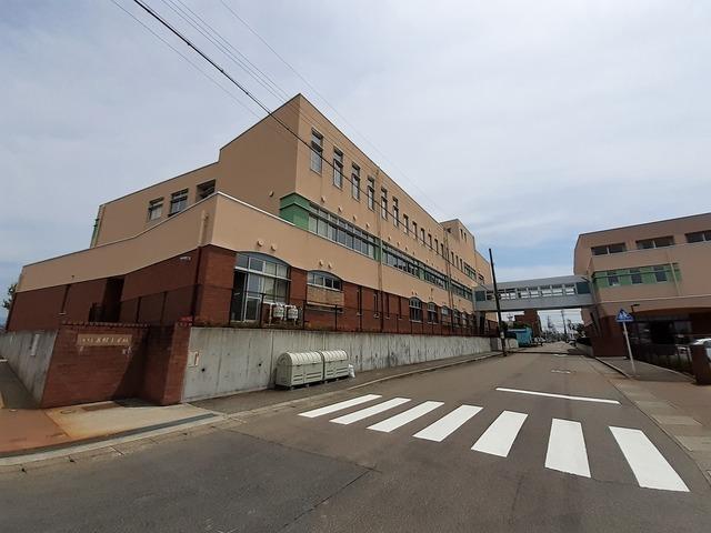 裏館小学校：250m