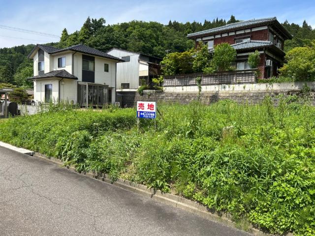 土地1