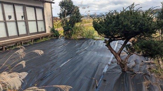 三条市上保内　中古戸建 庭