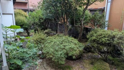 三条市石上二丁目　中古戸建 庭
