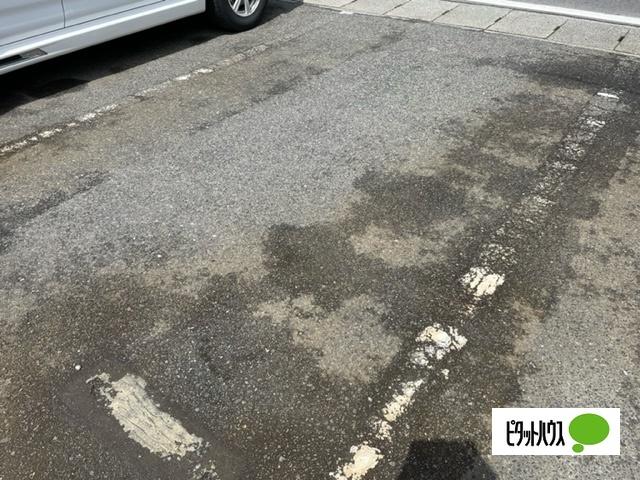 アムール中央 物件画像