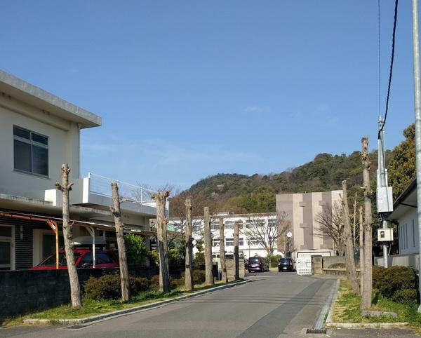 四国中央市立川之江北中学校：601m