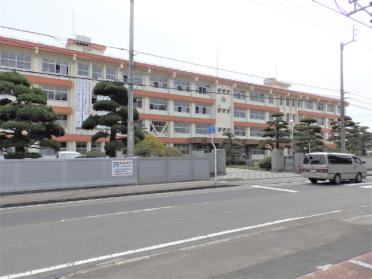 四国中央市立川之江小学校：231m