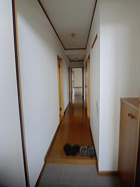 第三続木マンション（301） 玄関