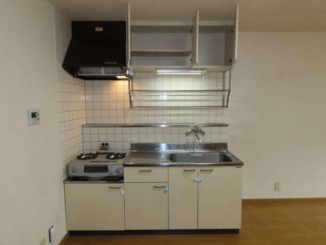 ベルリッツ金子（105） キッチン