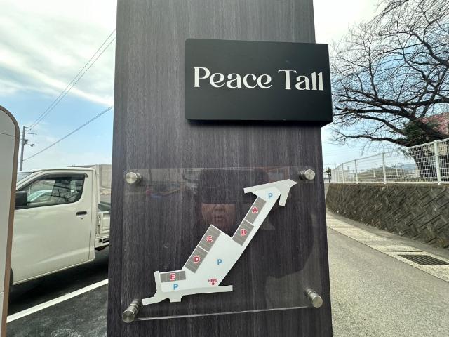 Peace Tall　B棟（203） その他