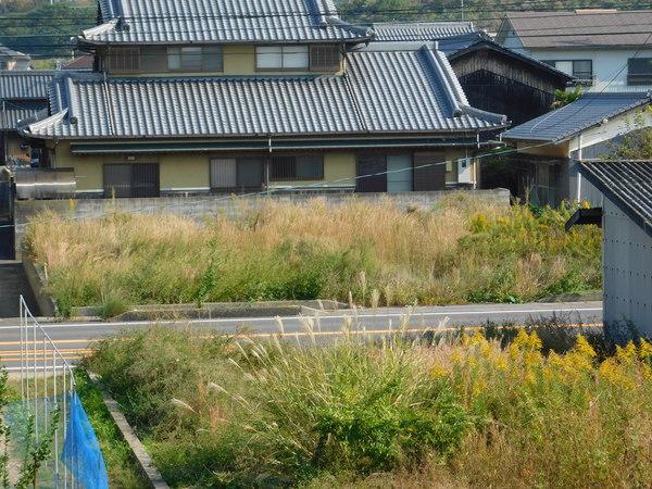 全景