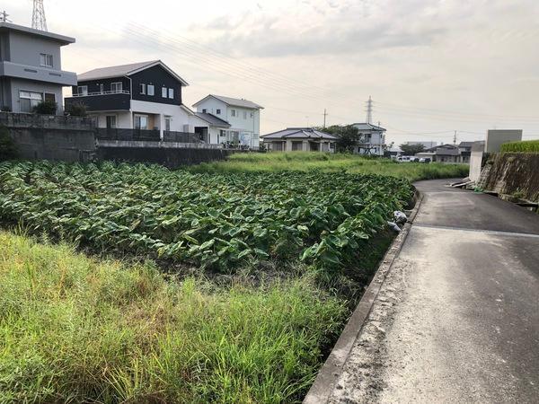 土地1