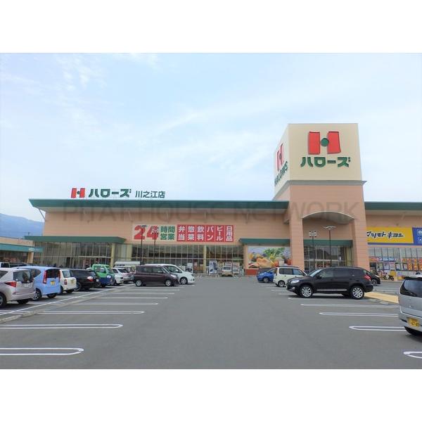 ハローズ川之江店