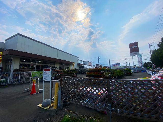 DCM住吉店：631m