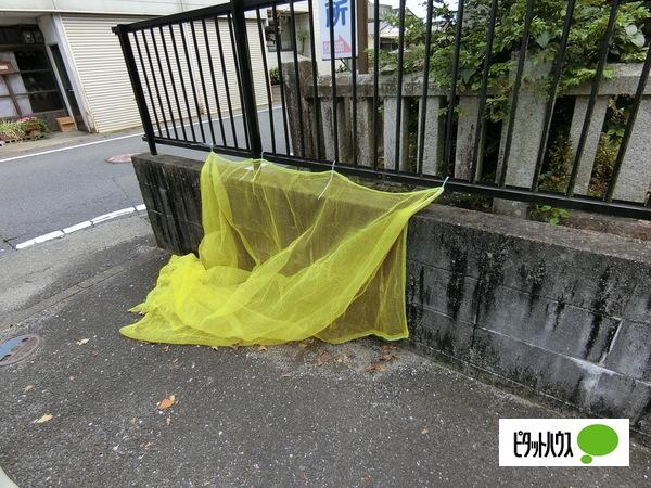 Ｆクレッシェント（202） 物件画像