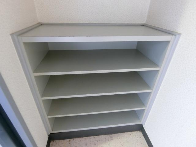 シティスケープミズノ（502） 収納
