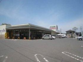 ピクロス通津店（スーパー）：179m
