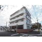 綺麗な外観
