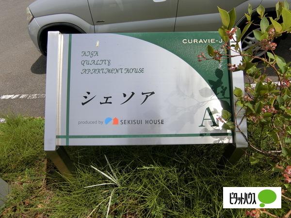 シェソアA 物件画像