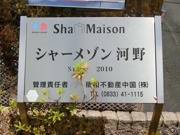 シャーメゾン河野　SOUTH 物件画像