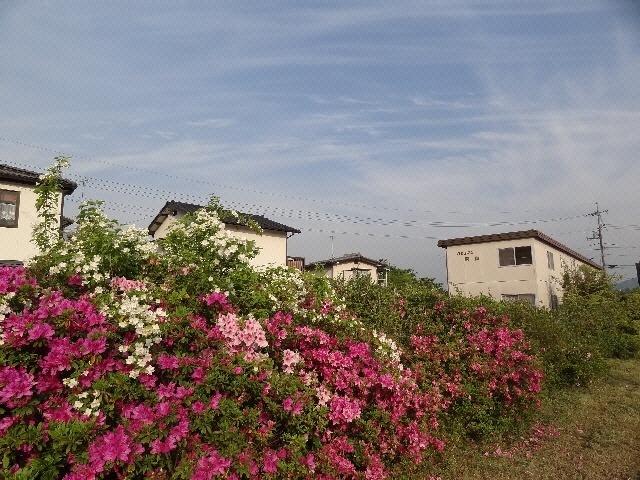ロジュマン阿山 物件画像