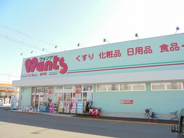 ウォンツ由宇店：700m