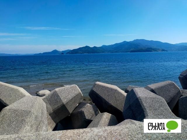 岩国市由宇町神東2396-1 土地画像