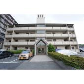 オンライン内覧実施中