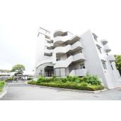 オンライン内覧実施中