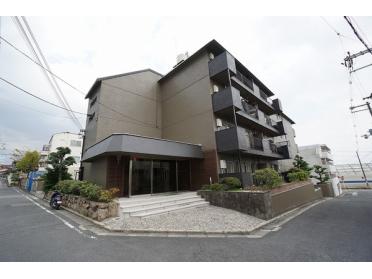 オンライン内覧実施中