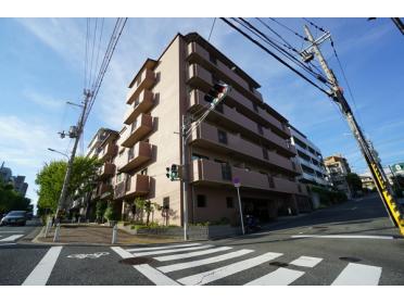 オンライン内覧実施中