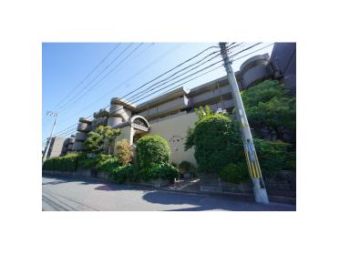 オンライン内覧実施中