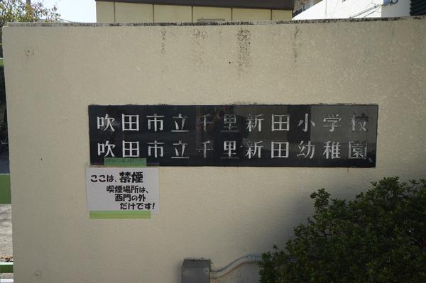 幼稚園、保育園