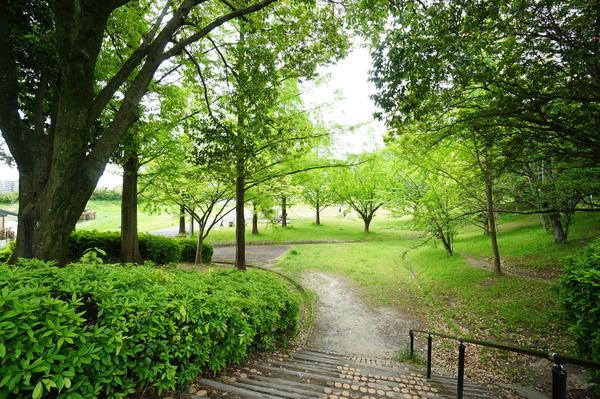 公園