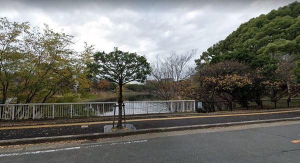 公園
