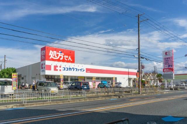 ドラックストア