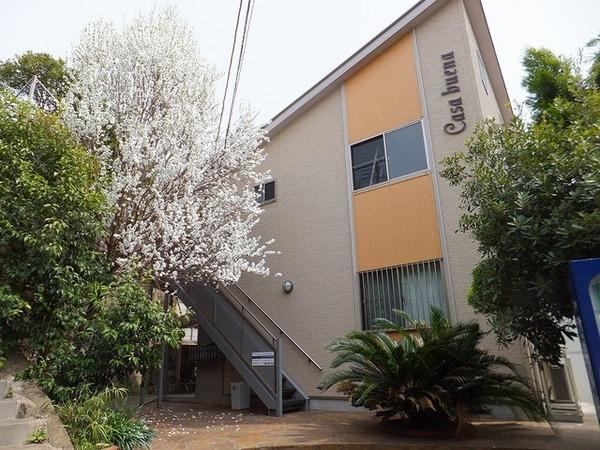 Casa Buena（204） エントランス