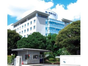 私立神奈川大学：3117m