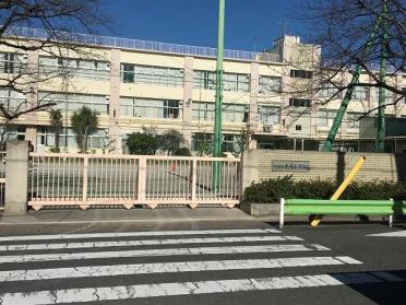 大田区立千鳥小学校：548m