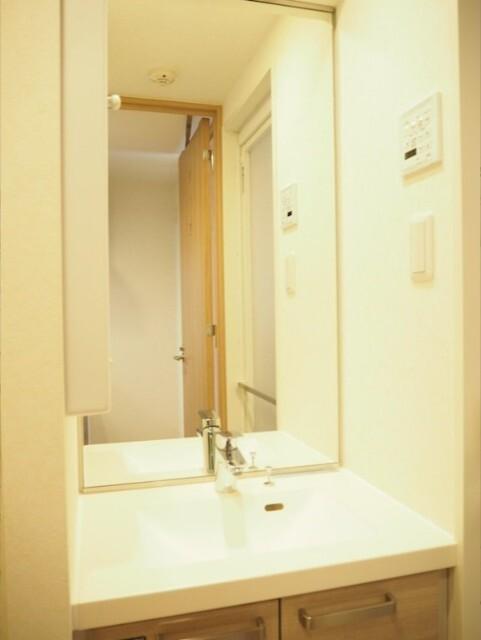ルーブル蒲田十番館（402） 洗面