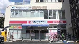 ココカラファイン北嶺店：502m