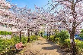 旧呑川緑地：2084m