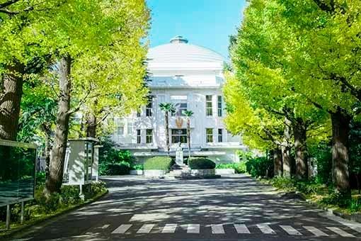私立星薬科大学：2008m
