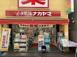 クスリのナカヤマ薬局新丸子駅前店：589m