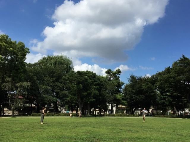 文庫の森：224m