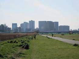 南六郷緑地：1471m