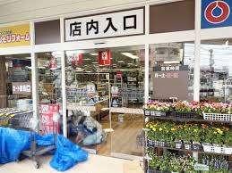 ホームセンターコーナン品川旗の台店：97m