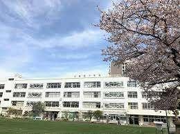 大田区立新宿小学校：712m