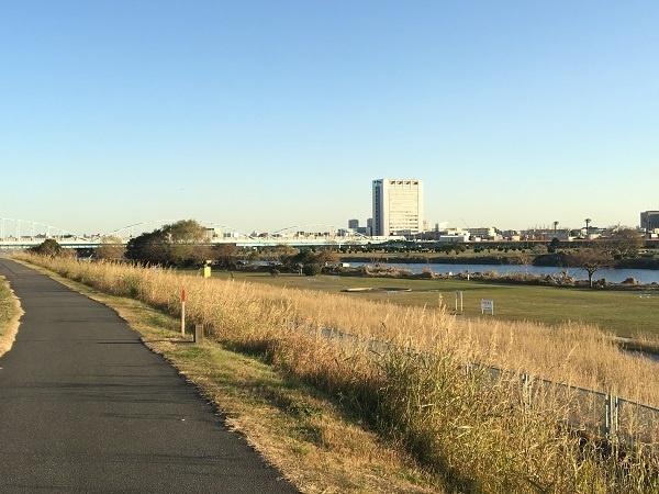 多摩川大橋緑地：1208m