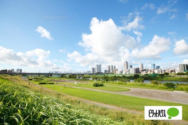 公園